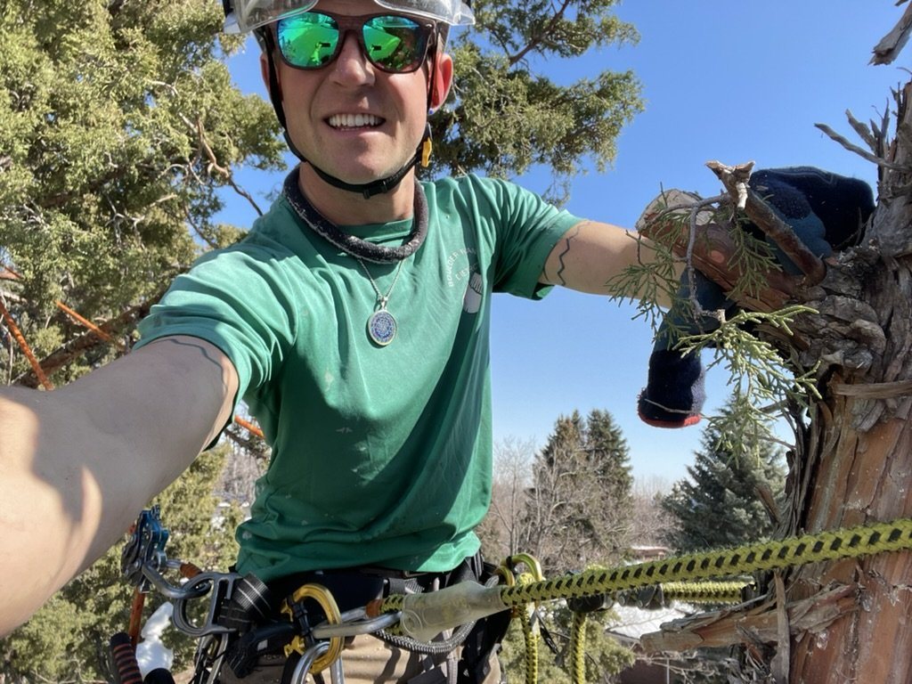 Helmet, harness and climbing rope in the canopy under blue sky