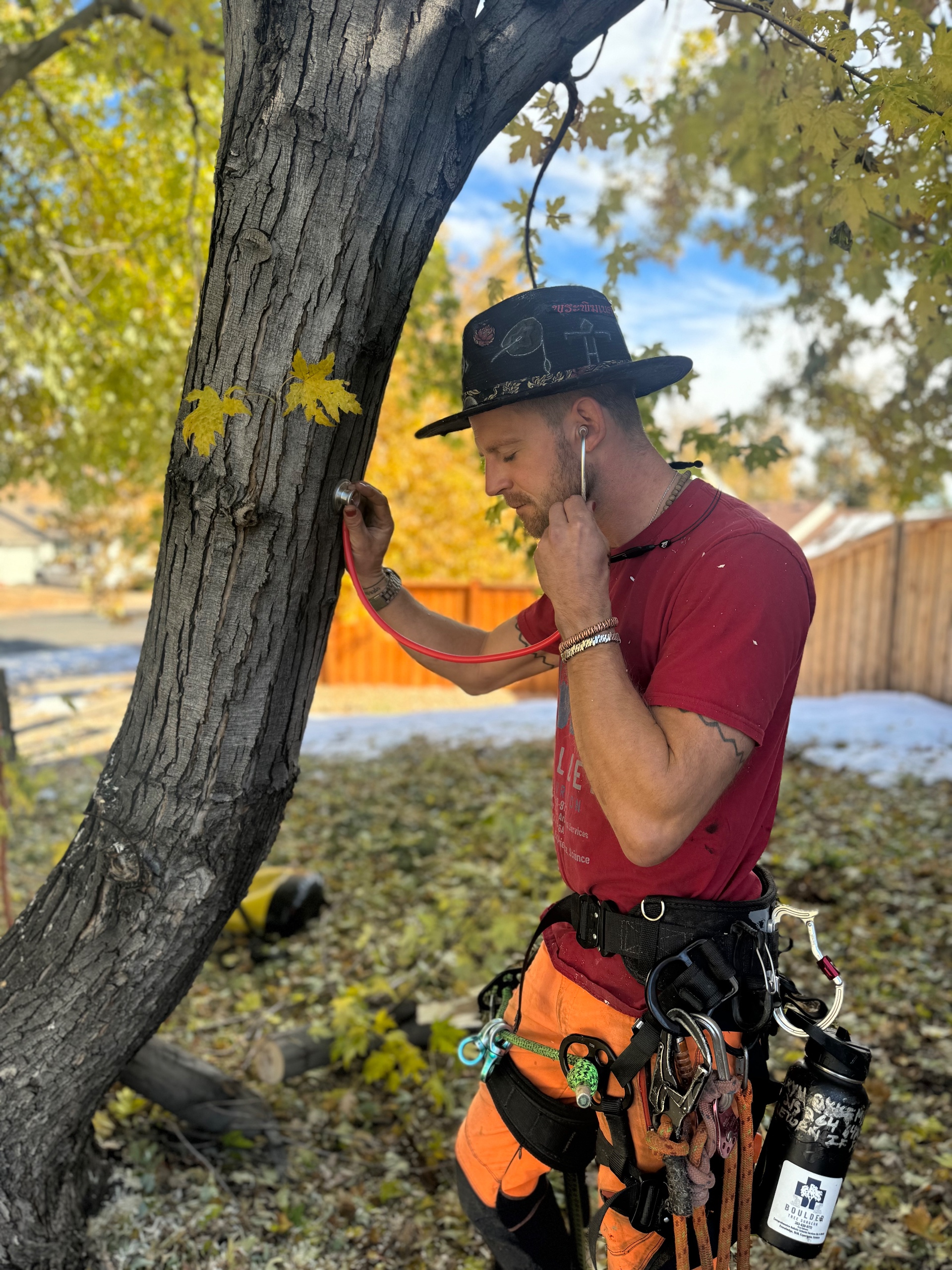 019c591b 490e 7723 8db4 43ae25e88a9c