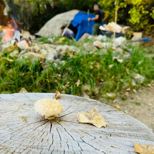 Services Slider Images Frame 4