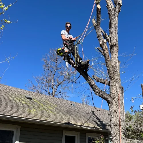 Services Slider Images Frame 5